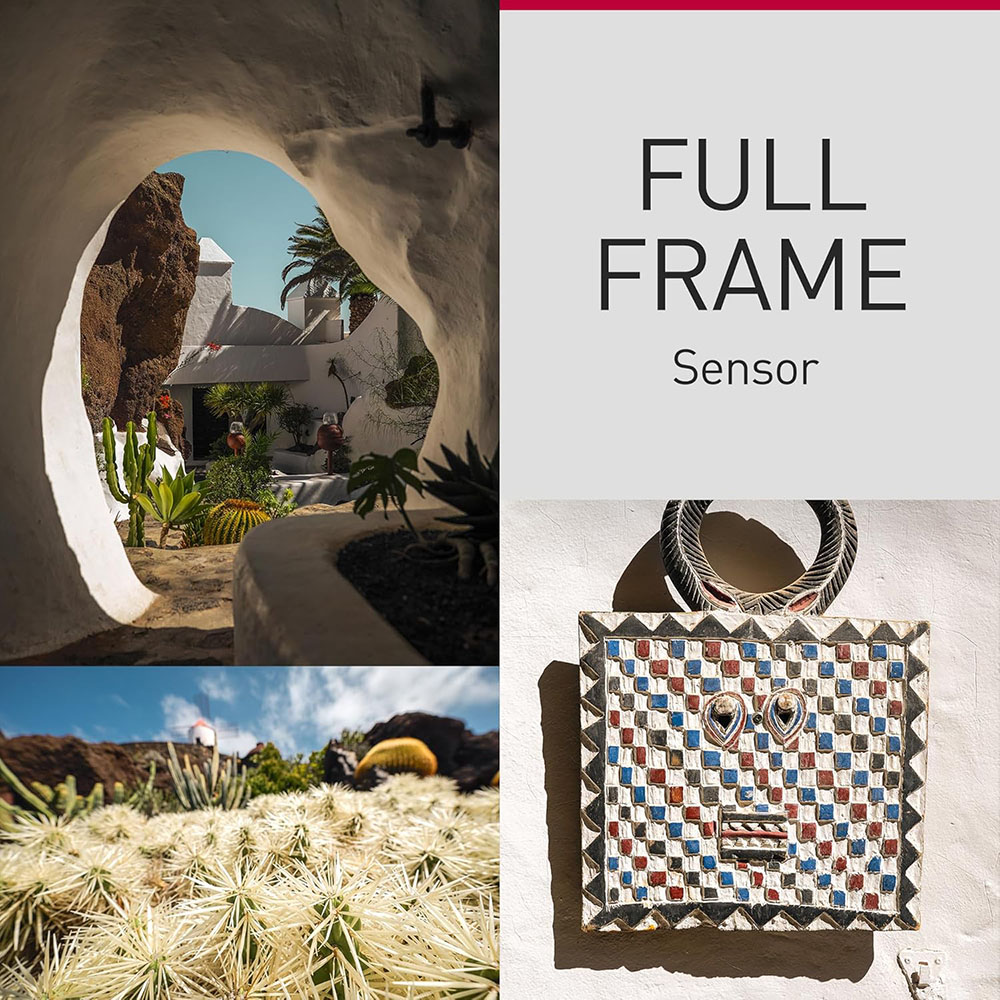 Panasonic Lumix DC-S9E-K Full Frame Mirrorless Open Gate Vlogging Camera