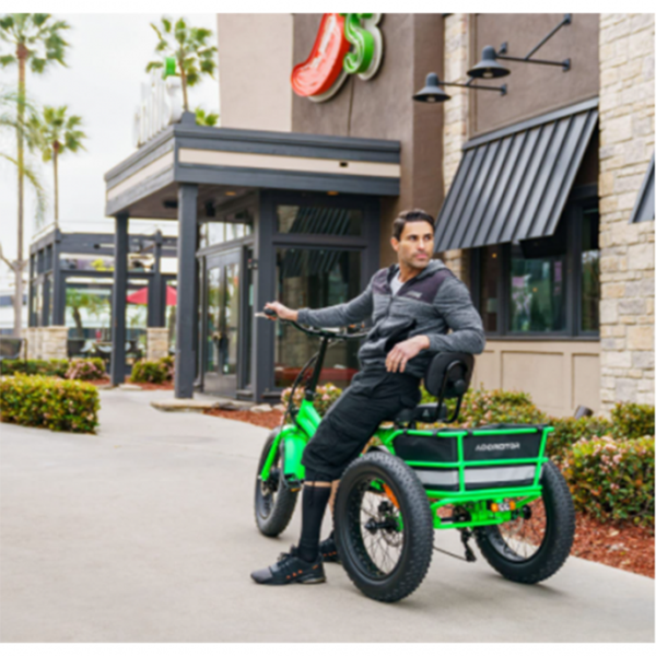 Addmotor Motan Electric Tricycle Adult, 750W 48V 17.5Ah Removable Battery, 20 Inch Fat Tire 3 Wheel Fat Tire Electric Bike, M-360 Electric Tricycle 350 lbs Carry Back Basket and Bag